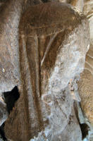 Margery Deville 1336